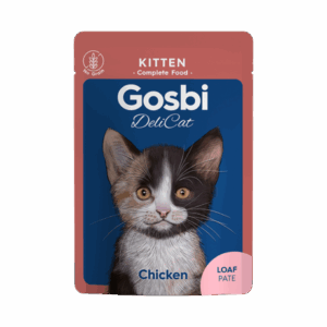 Gosbi delicat kitten amb loaf