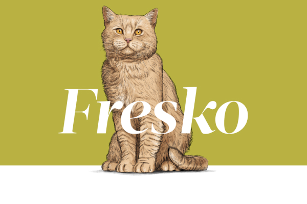 cat-fresko